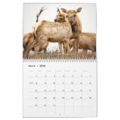 Wildlife and Landscape Calendar Kalender (Mar 2026)