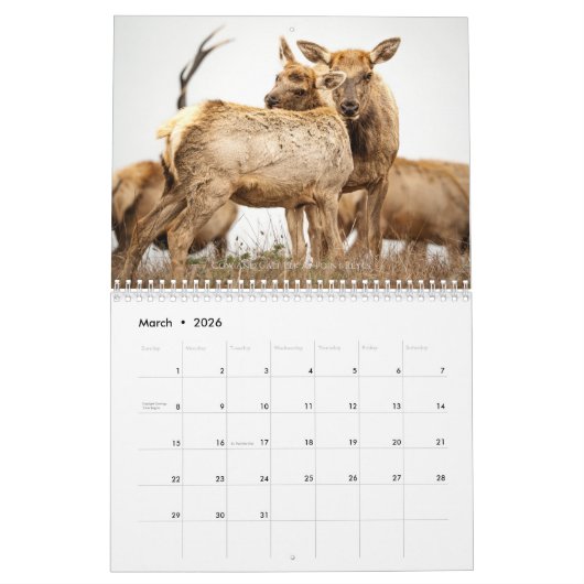 Wildlife and Landscape Calendar Kalender (Mar 2026)