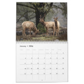 Wildlife and Landscape Calendar Kalender (Jan 2026)