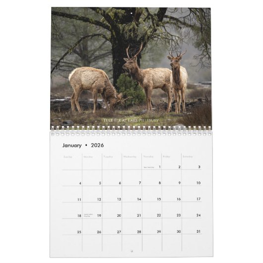 Wildlife and Landscape Calendar Kalender (Jan 2026)