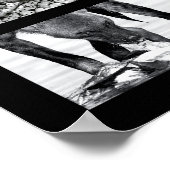 Wildlife Animals Poster (Hoek)