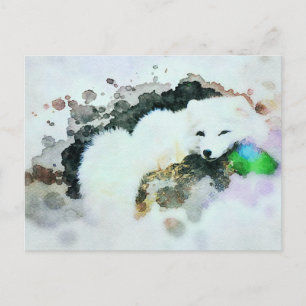 *~* Wildlife AP18 Sneeuwwitpoolpolaire Fox Post Briefkaart