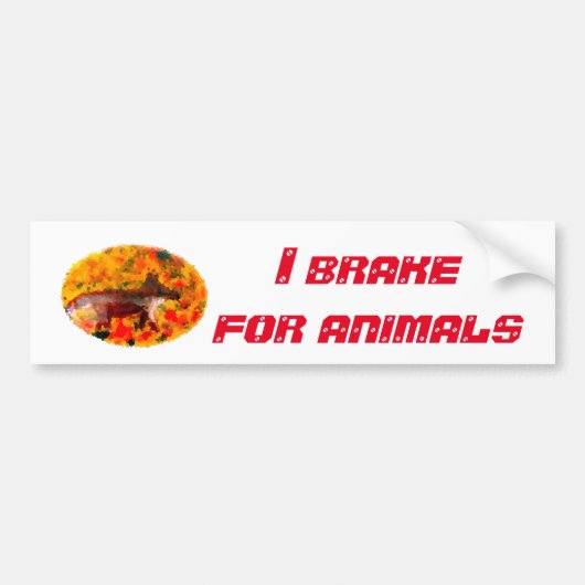Wildlife Art Autumn Fox I Brake for Animals Bumpersticker (Voorkant)