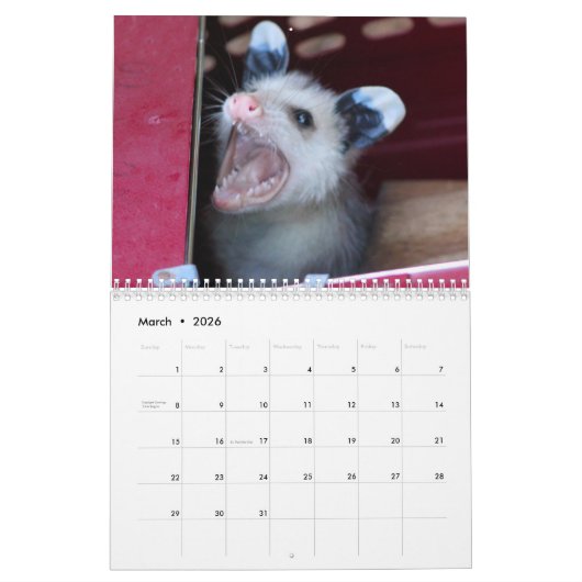 Wildlife Babies Agenda 2017 Kalender (Mar 2026)