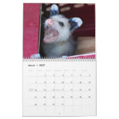 Wildlife Babies Agenda 2017 Kalender (Mar 2027)