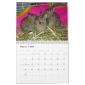 Wildlife Babies Agenda 2017 Kalender (Feb 2027)