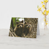 Wildlife - Baby Raccoons Foto Kaart (Gele Bloem)
