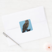 Wildlife Barn Owl Foto Vierkante Sticker (Envelop)