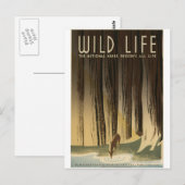 Wildlife behouden briefkaart (Voorkant / Achterkant)