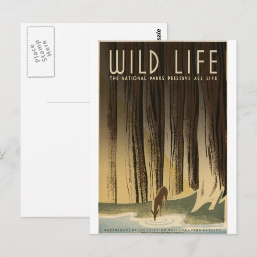 Wildlife behouden briefkaart (Voorkant / Achterkant)