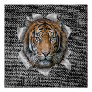 Wildlife Bengal Tiger gekleed als grap Perfect Poster