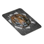 Wildlife Bengal Tiger Magneet (Rechterzijde)