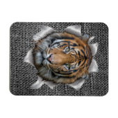 Wildlife Bengal Tiger Magneet (Horizontaal)