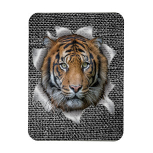 Wildlife Bengal Tiger Magneet