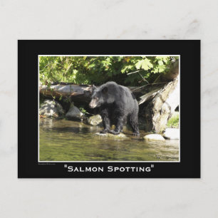 Wildlife Beren Dierenliefhebbers Design Briefkaart