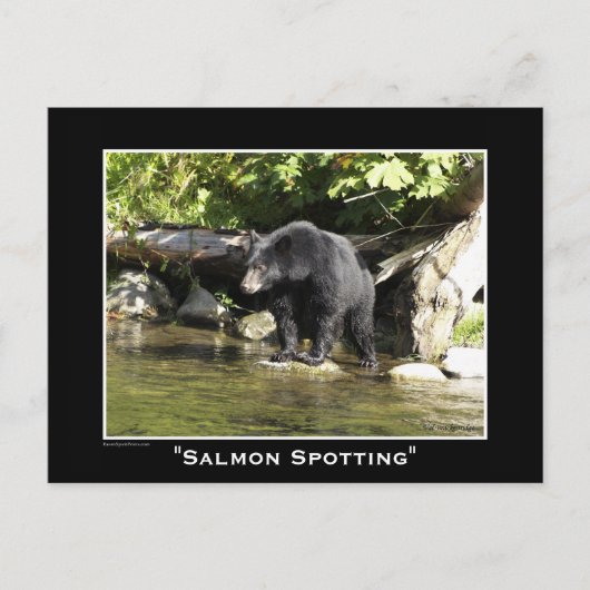 Wildlife Beren Dierenliefhebbers Design Briefkaart (Voorkant)