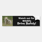 Wildlife Beren Dierenliefhebbers Design Bumpersticker (Voorkant)