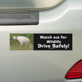 Wildlife Beren Dierenliefhebbers Design Bumpersticker (Op auto)