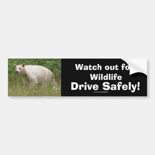Wildlife Beren Dierenliefhebbers Design Bumpersticker (Voorkant)