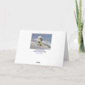 Wildlife Beren Dierenliefhebbers Design Kaart (Achterkant)