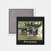 Wildlife Beren Dierenliefhebbers Design Magneet (Voorkant / Achterkant)