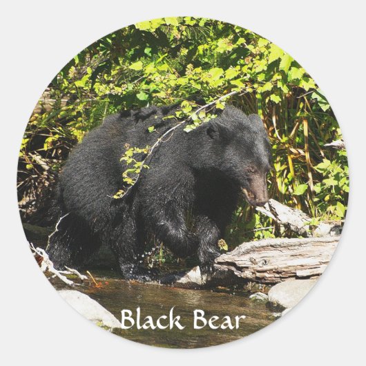 Wildlife Beren Dierenliefhebbers Design Ronde Sticker (Voorkant)
