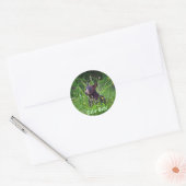 Wildlife Beren Dierenliefhebbers Design Ronde Sticker (Envelop)