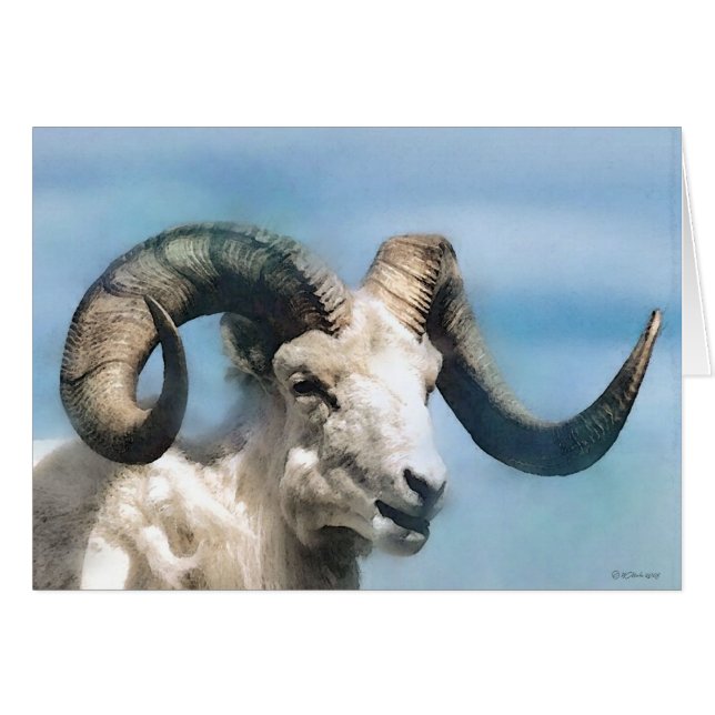 Wildlife-Big Horn (Voorkant Horizontaal)