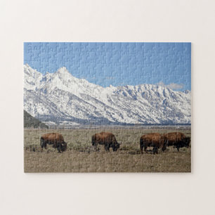 Wildlife Bison Mountains Sneeuwfoto Legpuzzel