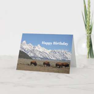 Wildlife Bison Mountains Snow Birthday Kaart