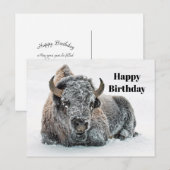 Wildlife Bizon Sneeuw Foto Verjaardag Briefkaart (Voorkant / Achterkant)