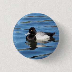 Wildlife Black en White Duck Scaup Foto Ronde Button 3,2 Cm
