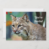 Wildlife Bobcat Foto Birthday Kaart (Voorkant)