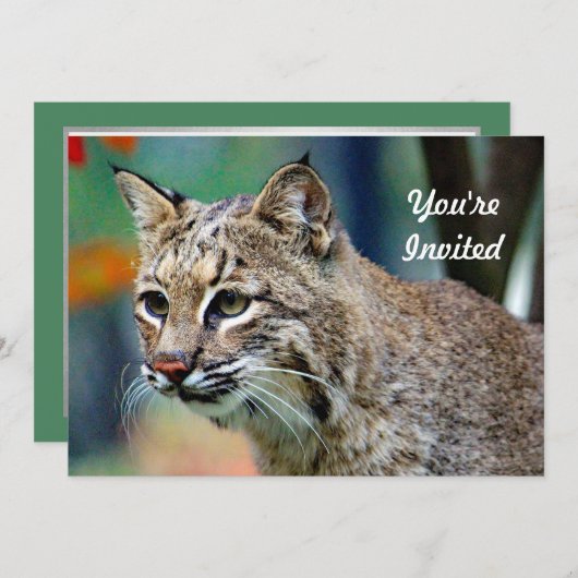 Wildlife Bobcat Foto Birthday Kaart (Voorkant / Achterkant)