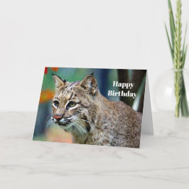 Wildlife Bobcat Foto Verjaardag Kaart