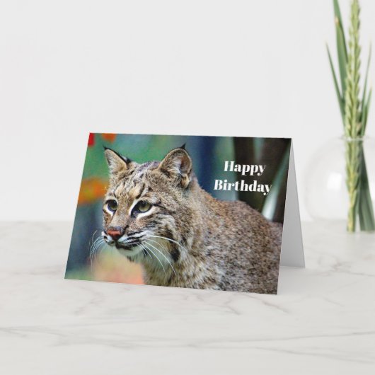 Wildlife Bobcat Foto Verjaardag Kaart (Voorkant)