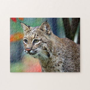 Wildlife Bobcat Photo Legpuzzel