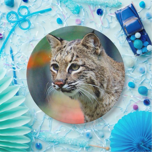 Wildlife Bobcat Photo Papieren Bordje (Feest)
