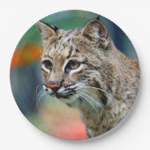 Wildlife Bobcat Photo Papieren Bordje (Voorkant)