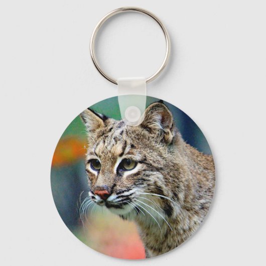 Wildlife Bobcat Photo Sleutelhanger (Voorkant)