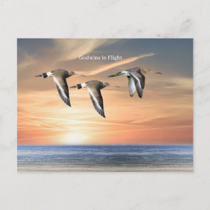 Wildlife Briefkaart