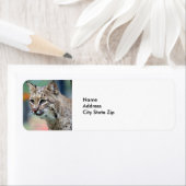 Wildlife Brown Bobcat Lynx Etiket (Insitu)