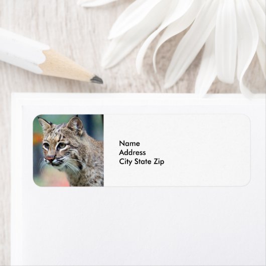 Wildlife Brown Bobcat Lynx Etiket (Insitu)