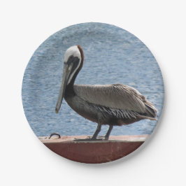 Wildlife Brown Pelican Water Foto Papieren Bordje