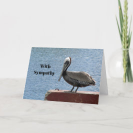 Wildlife Brown Pelican Water Photo Sympathy Kaart
