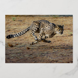 Wildlife Brown runt Cheetah Birthday Gold Folie Uitnodiging