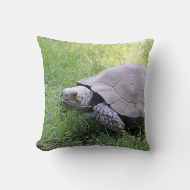 Wildlife Brown Tortoise Foto Kussen (Voorkant)