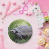 Wildlife Brown Tortoise Foto Papieren Bordje (Feest)
