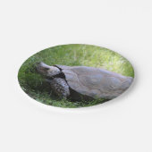 Wildlife Brown Tortoise Foto Papieren Bordje (Gekanteld)