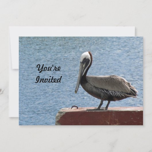 Wildlife Bruin Pelikaan Water Foto Verjaardag Kaart (Voorkant)